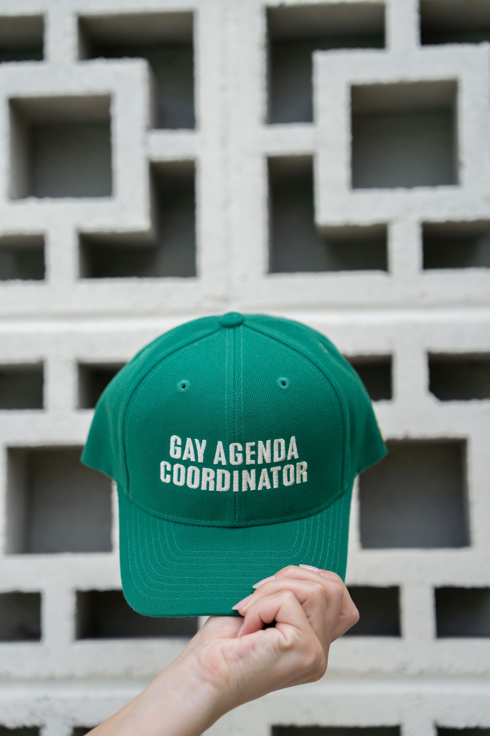 Gay Agenda Coordinator Baseball Hat