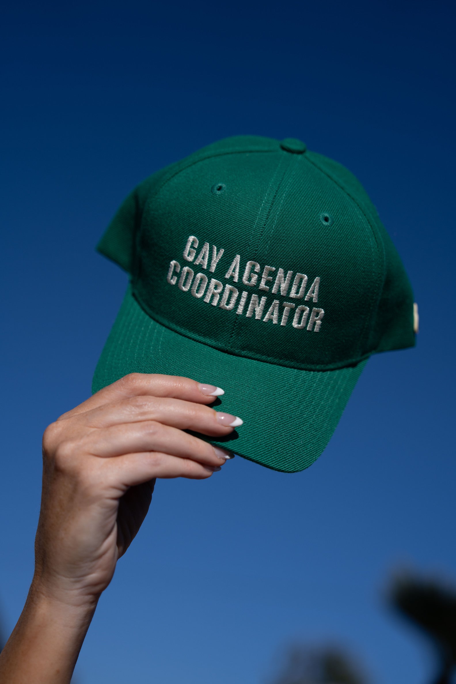 Gay Agenda Coordinator Baseball Hat